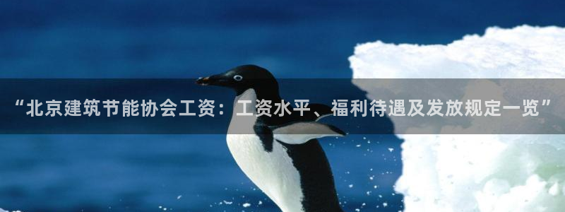 尊亿娱乐国际官网：“北京建筑节能协会工资：工资水平、福利待遇及发放规定一览”