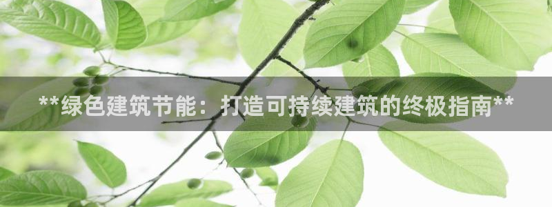 e尊国际官网·网址：**绿色建筑节能：打造可持续建筑的终极指南**