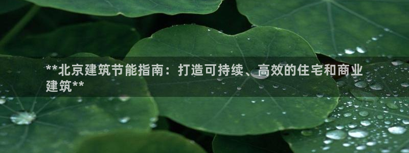 e尊国际网址：**北京建筑节能指南：打造可持续、高效的住宅和商业
建筑**